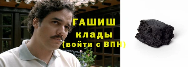 амф Ельня