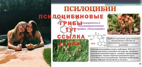 гашик Абдулино