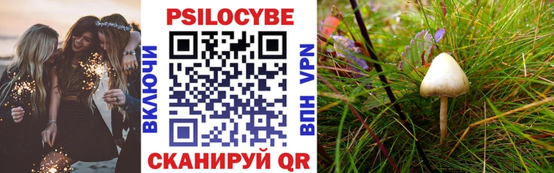Псилоцибиновые грибы MAGIC MUSHROOMS  гидра tor  Дальнереченск 
